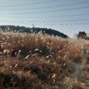 대덕장여관 이미지