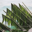 완도식품(주)