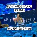 아쿠아플라넷 광교 | 광교 아쿠아플라넷 후기 | 주말 실내나들이 꿀팁 정리