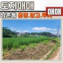 하이닉스공인중개사사무소 이미지