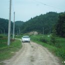 밤골사슴농장 이미지