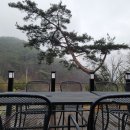 주산리(광주)