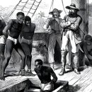 해방농장 이미지