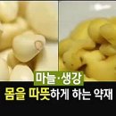 생강마늘나라