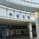 장성시장 | 가락시장 회맛집 &#39;장성수산&#39; 방문 후기