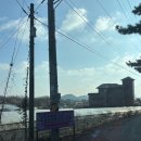 대성관광 옆 (관리번호 7번) | [캠핑로그]조용하고 프라이빗한 안산캠핑장 / 대부도 라일락캠핑장 명당자리 힐링하고 온 후기