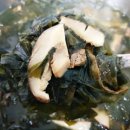 다래한우농장 이미지