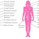 광양한의원 이미지