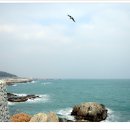 해동용궁사 이미지