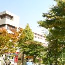 서울신동초등학교 이미지