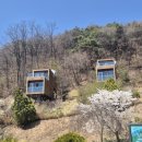 이수미팜베리 이미지