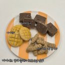강아지 수제간식 세트 원데이클래스