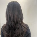 단,하나의 헤어 네이버블로그