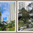 잠실여자고등학교 (내) 이미지