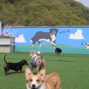 봉주르봉구 이미지