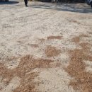 우두새마을금고 이미지