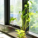 본디올한의원 이미지