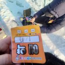 화천 산천어축제 예약터 준비물 주차 꿀팁 후기