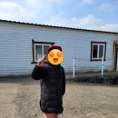 이어도관광승마장 | [제주] 11일차-이어도 승마장, 동쪽송당 동화마을