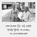팜힐 이미지