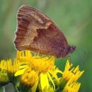 김천 정기 검도관 이미지