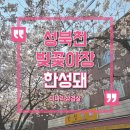 한성돼 | 성북천 벚꽃야장 미나리삼겹살 맛집 성신여대 한성대입구역맛집 한성돼 후기