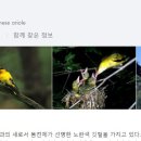 일호주