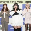 송해나 카카오 검색결과