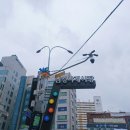 늘봄한우 | [이수역고기맛집] 남성사계시장 정육점 늘봄한우 솔직후기