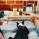 주희침구 이미지