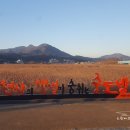 주)월곡영화골 이미지
