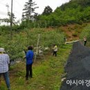 최근우농장 이미지