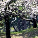 어느날 - 영천시 | 어느날