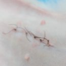 아지동물병원 이미지