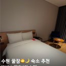 코인워시수원율전초등학교점 | 수원 숙소 추천 이비스 앰배서더｜두 번째 방문인데 또 가게 되는 이유