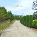 원촌교차로 이미지