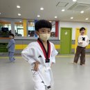 용인대 성민 태권도 이미지