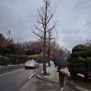 do it | 도경수 파이널콘서트 2025 DOH KYUNG SOO ASIA CONCERT TOUR 〈DO it! THE FINAL〉 다녀온 후기