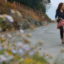 상상속의 펜션 이미지