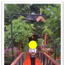 산속비버스 이미지