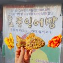 김구약국 | 효공잉어빵 웨이팅 성공, 할명수 출연 서울 붕어빵 맛집