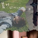 봄피어나