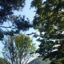 노스팜 컨트리클럽 이미지