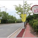 주먹밥카페 오월 이미지