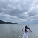 서나무집민박 이미지