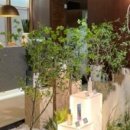 한성상가A동 이미지