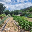 대곡2리경로당 이미지