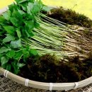 산골짜기농장 이미지