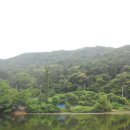 석전동161 이미지