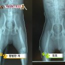또또농장 Daum카페